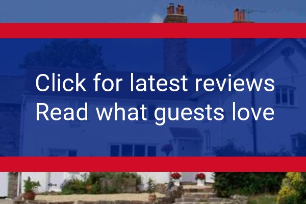 www.broncoeduchaf.com - check out latest independent reviews