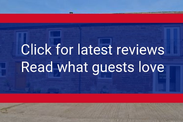 www.browndykestables.co.uk - check out latest independent reviews