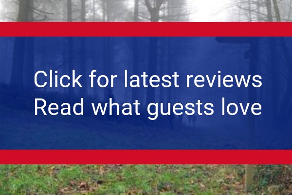 www.brownlowaccommodation.com - check out latest independent reviews