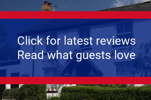 www.brynffynnon.com - check out latest independent reviews