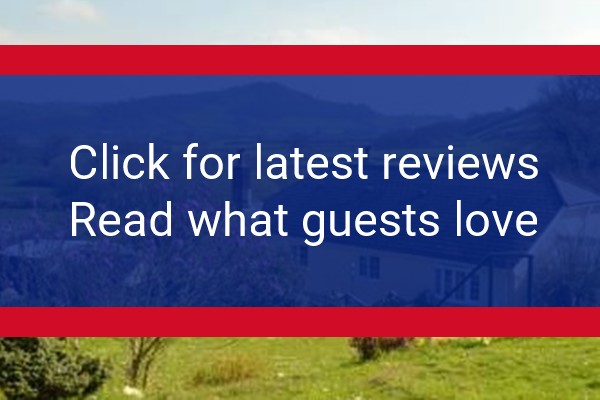 www.brynhebog.co.uk - check out latest independent reviews