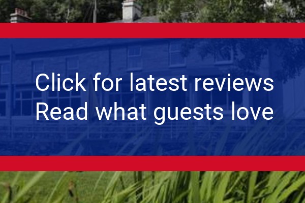 www.bryntyrchinn.co.uk - check out latest independent reviews