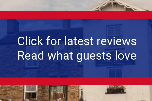 www.buckhotel.co.uk - check out latest independent reviews