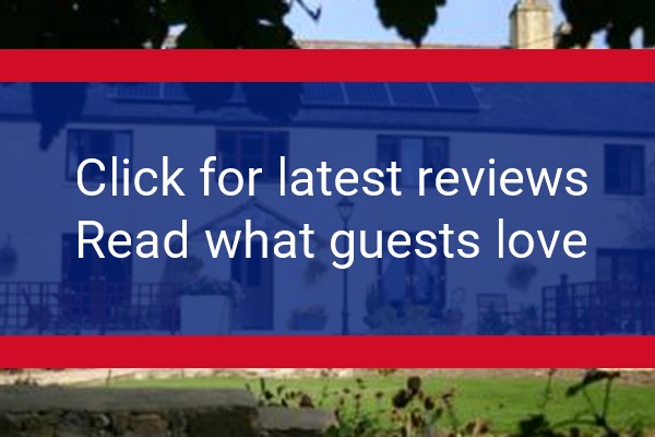 www.cadleigh.co.uk - check out latest independent reviews