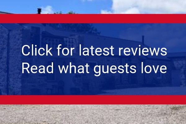 www.caebach.wales - check out latest independent reviews