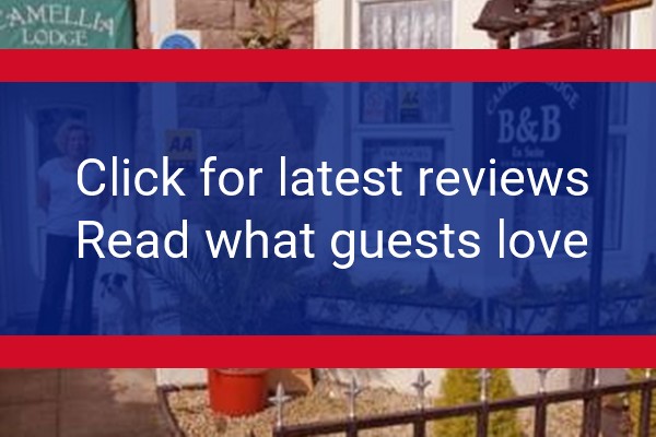 www.camellialodge.co.uk - check out latest independent reviews