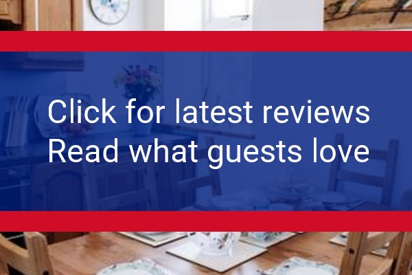 www.canneefarm.co.uk - check out latest independent reviews