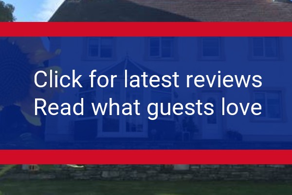 www.cardiganbedandbreakfast.com - check out latest independent reviews