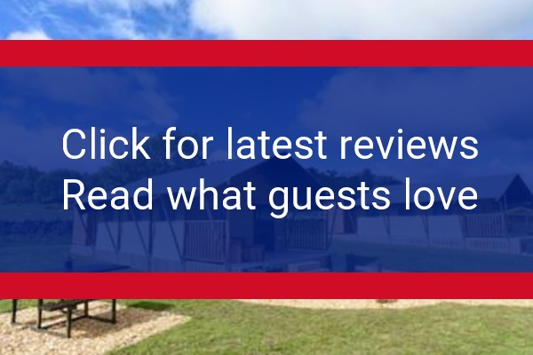 www.carrshill.co.uk - check out latest independent reviews
