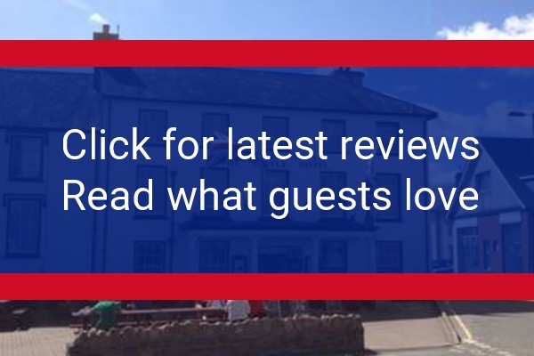 www.castle-hotel-llandovery.co.uk - check out latest independent reviews