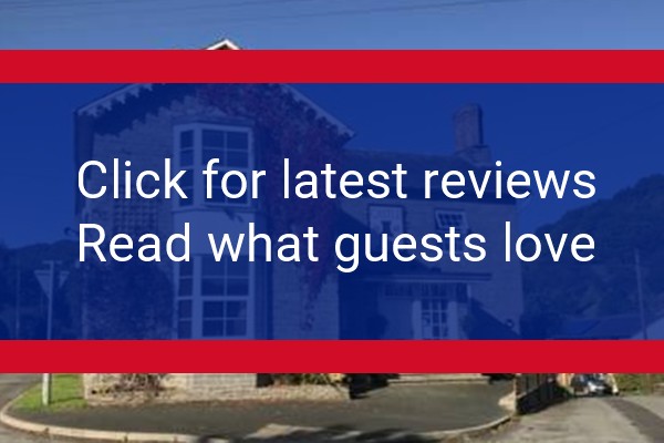 www.castleinnknucklas.com - check out latest independent reviews