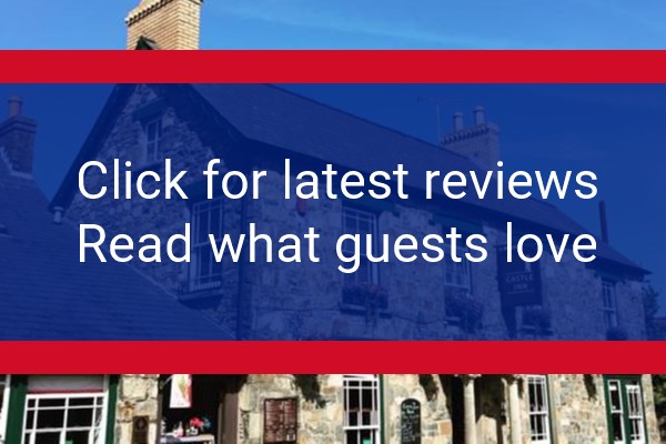 www.castleinnpembs.co.uk - check out latest independent reviews