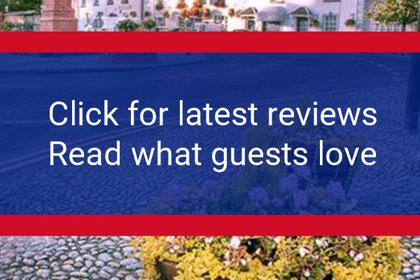 www.castleinnusk.com - check out latest independent reviews