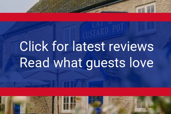 www.catandcustard.co.uk - check out latest independent reviews