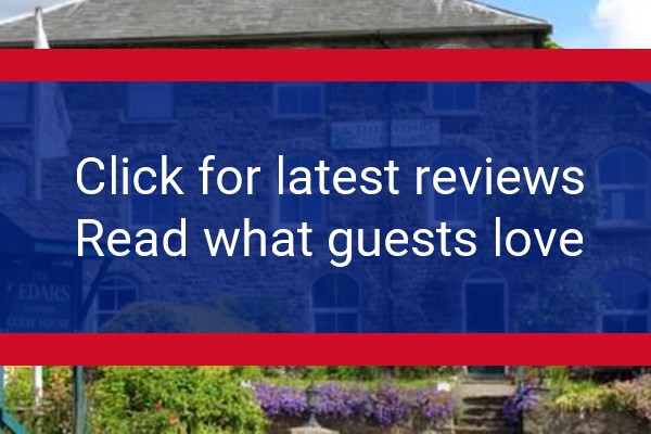 www.cedars.co.uk - check out latest independent reviews