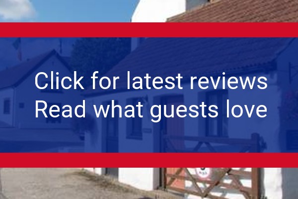 www.celtichaven.co.uk - check out latest independent reviews