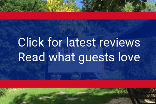 www.cherryberrylodges.co.uk - check out latest independent reviews