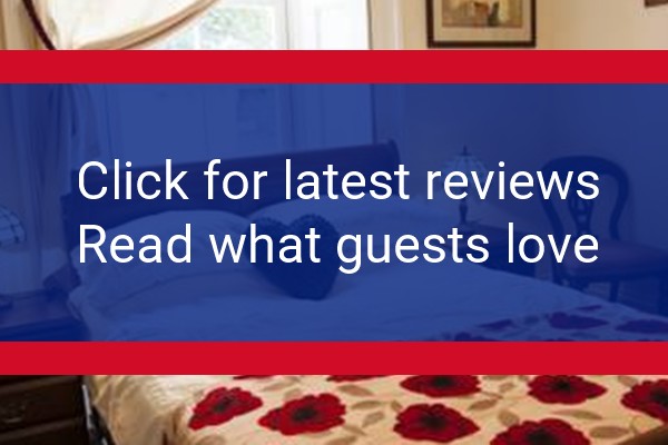 www.claralodgeguesthouse.com - check out latest independent reviews