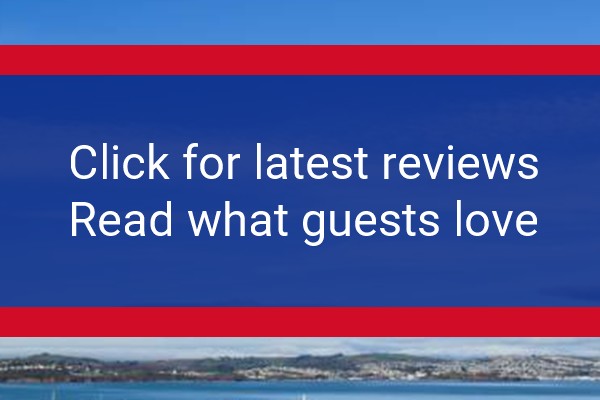 www.clearviewtrees.co.uk - check out latest independent reviews