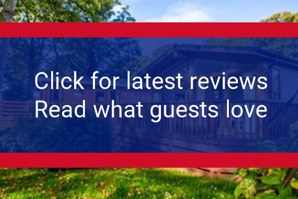 www.coedhelen.com - check out latest independent reviews