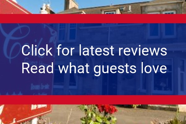 www.coila.co.uk - check out latest independent reviews