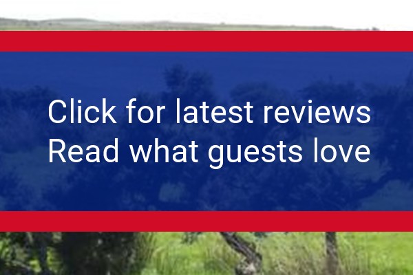 www.collifordlakepark.co.uk - check out latest independent reviews