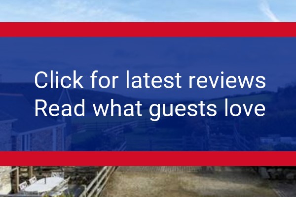 www.cornwall-online.co.uk - check out latest independent reviews