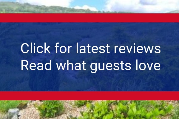 www.cottage-cader-idris.co.uk - check out latest independent reviews