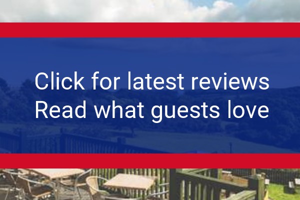 www.countyarmstruro.co.uk - check out latest independent reviews