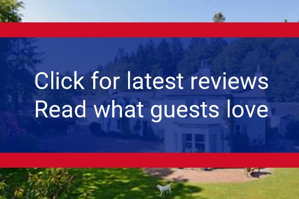 www.craigadam.com - check out latest independent reviews