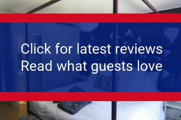 www.crazyfoxhurley.com - check out latest independent reviews
