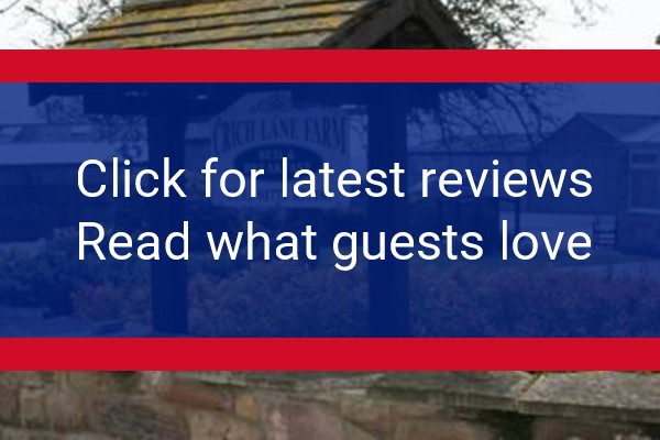 www.crichlanefarm.co.uk - check out latest independent reviews