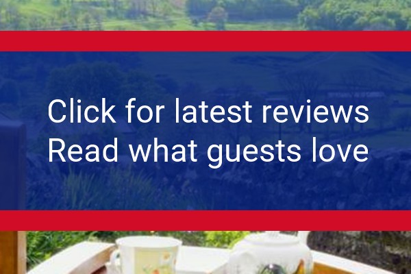 www.daleviewbuckden.co.uk - check out latest independent reviews
