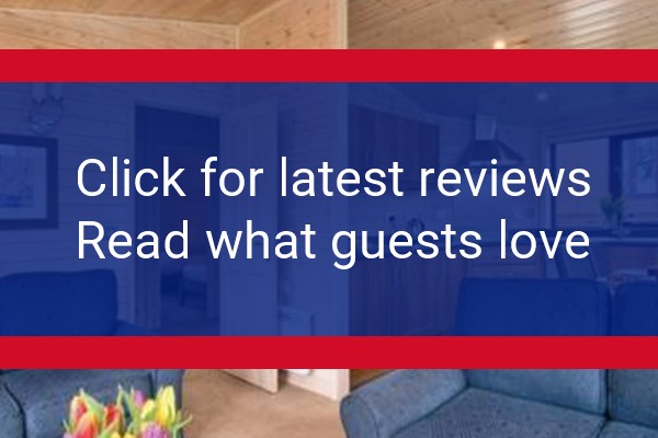 www.darwinforest.co.uk - check out latest independent reviews