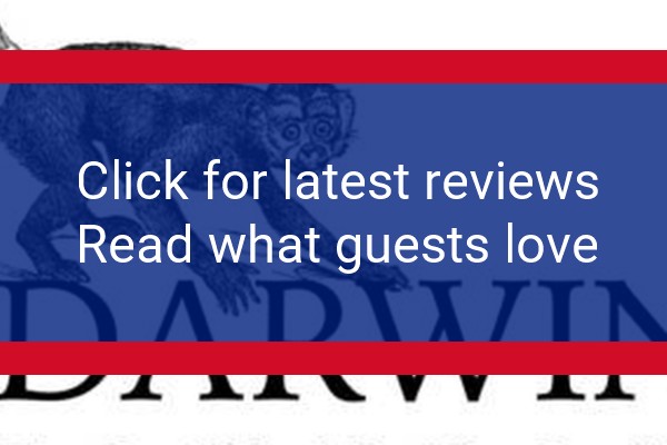 www.darwinstownhouse.com - check out latest independent reviews