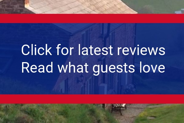 www.deancottages.co.uk - check out latest independent reviews