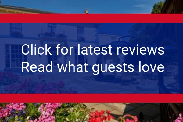 www.dehaveletguernsey.com - check out latest independent reviews