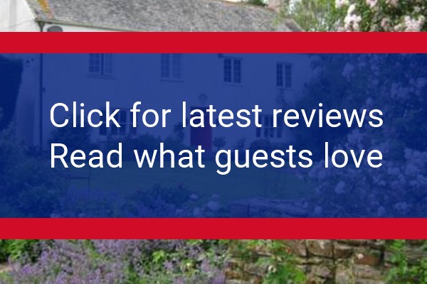 www.devonhorsebedbreakfast.co.uk - check out latest independent reviews