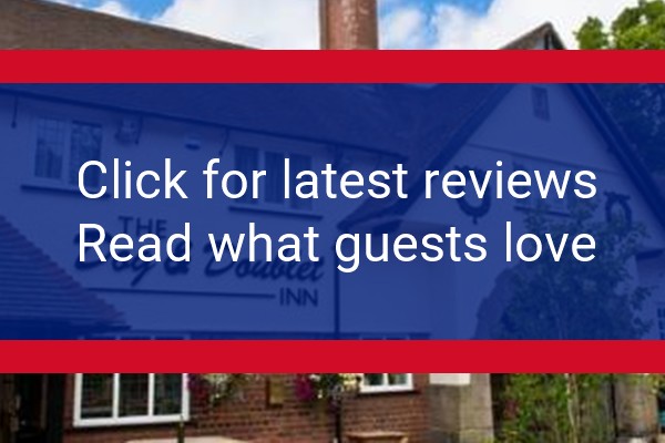 www.doganddoubletsandon.co.uk - check out latest independent reviews