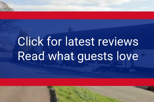www.dogandpartridge.co.uk - check out latest independent reviews