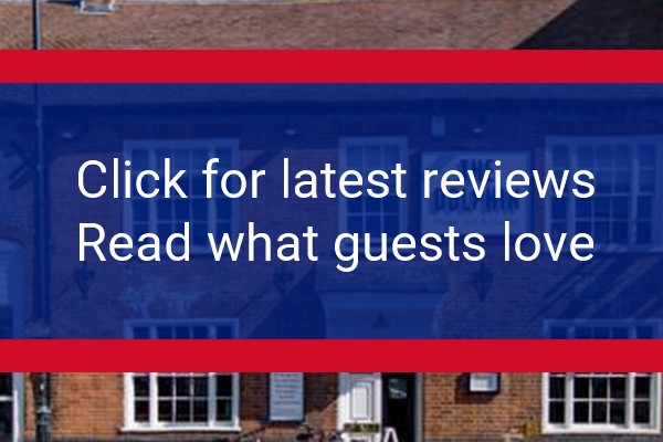 www.dolphinnewbury.com - check out latest independent reviews