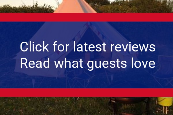 www.downshayfarm.co.uk - check out latest independent reviews