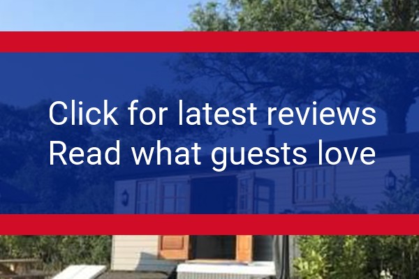 www.dreamhuts.co.uk - check out latest independent reviews