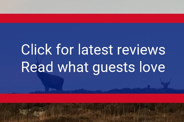 www.drumbeghotel.co.uk - check out latest independent reviews