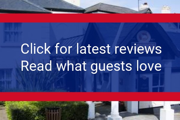 www.dukesheadsurrey.co.uk - check out latest independent reviews