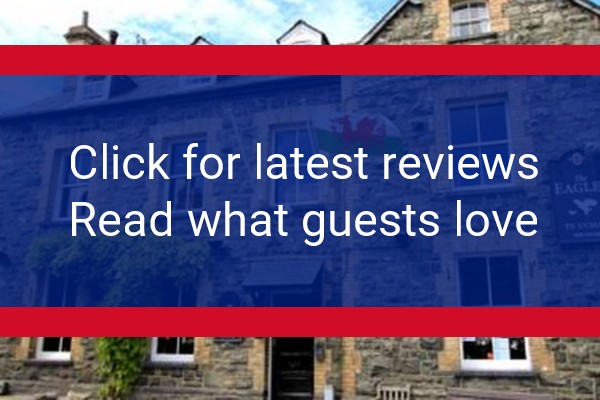 www.eaglespenmachno.co.uk - check out latest independent reviews