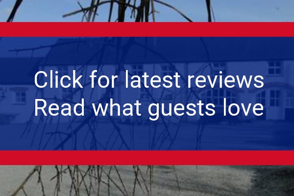 www.easttrewentfarm.co.uk - check out latest independent reviews