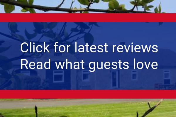 www.edenmouth.co.uk - check out latest independent reviews