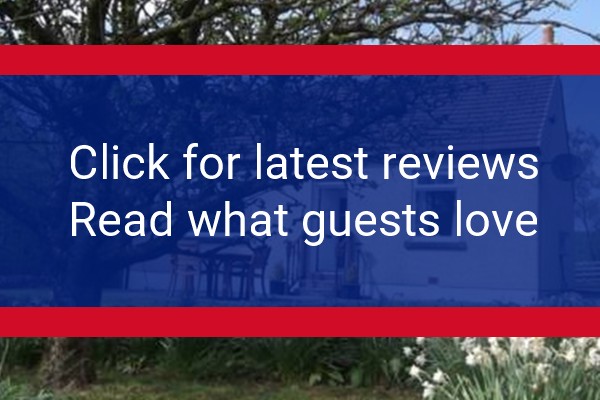 www.edenwoodcottage.co.uk - check out latest independent reviews