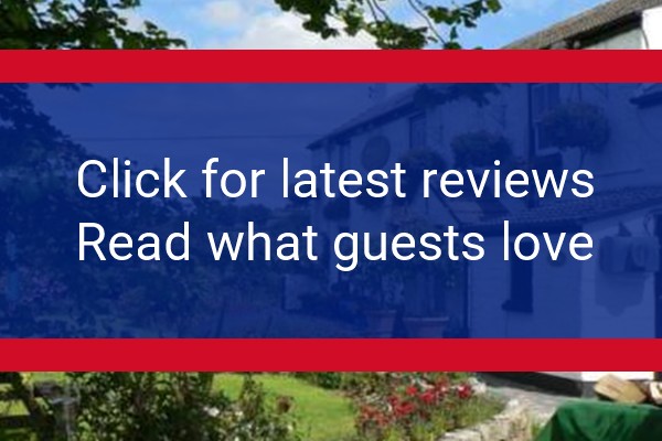 www.elephantsnest.co.uk - check out latest independent reviews